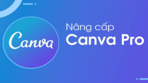 Nâng cấp Canva Pro chính chủ  - 1 Năm (Bao gồm tính năng AI và Brankit)